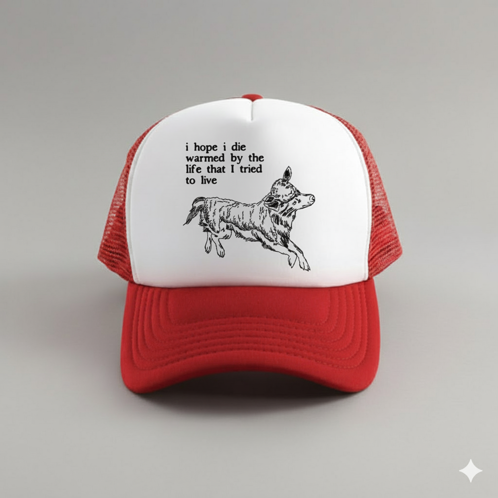 Personalized Mesh Cap